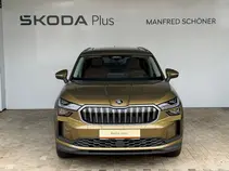 Kodiaq Exclusive Selection