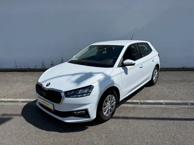 Fabia Selection