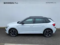 Kamiq Monte Carlo