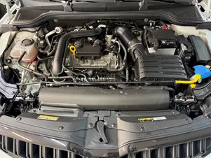 Škoda Kamiq Monte Carlo