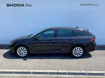 Octavia Fresh