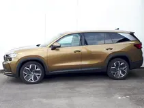 Kodiaq Exclusive Selection