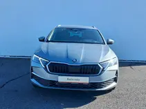 Octavia 