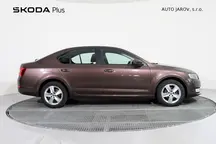 Octavia 