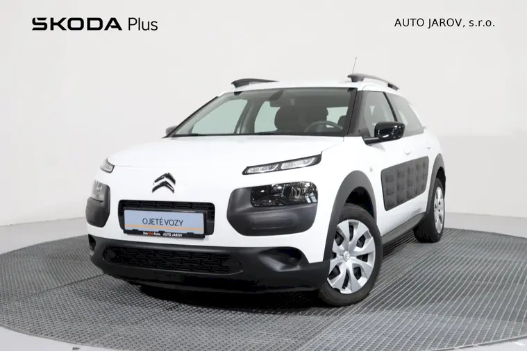 C4 Cactus