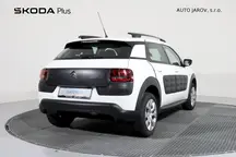 C4 Cactus 