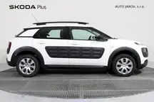 C4 Cactus
