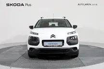 C4 Cactus 