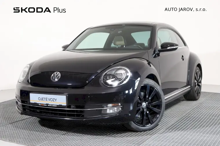 Beetle 