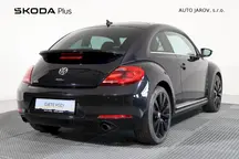 Beetle 