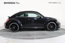 Beetle 