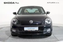 Beetle 