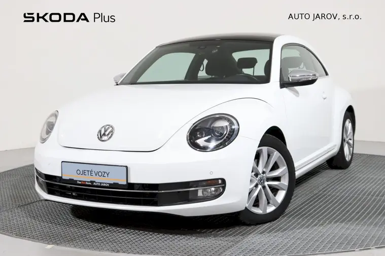 Beetle 
