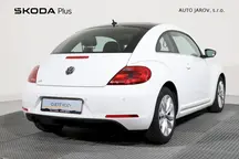 Beetle 