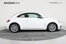 Beetle 