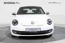 Beetle