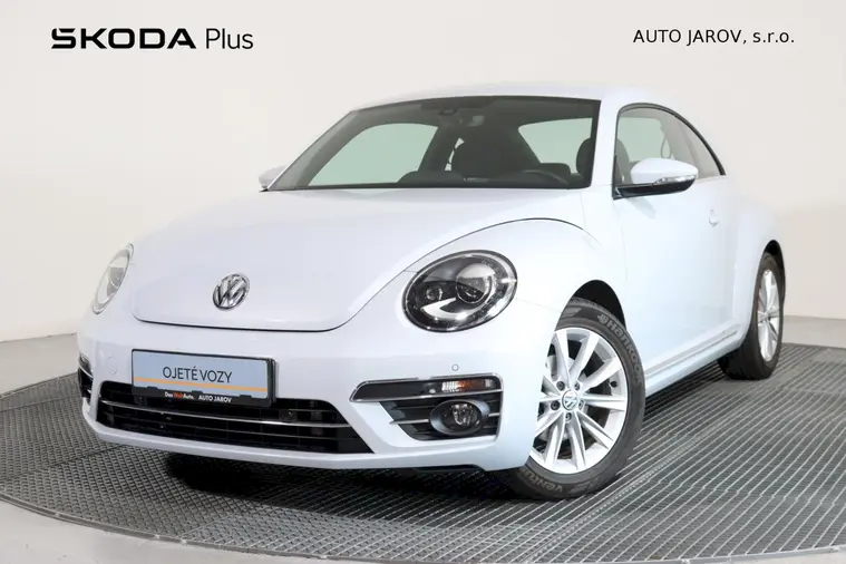 Beetle 
