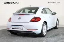 Beetle 