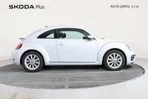 Beetle 