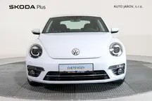 Beetle 