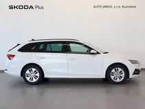 Octavia 