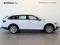 Octavia 