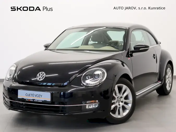 Beetle