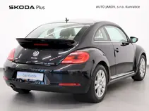 Beetle