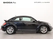 Beetle 