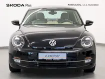 Beetle 