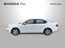 Octavia Elegance