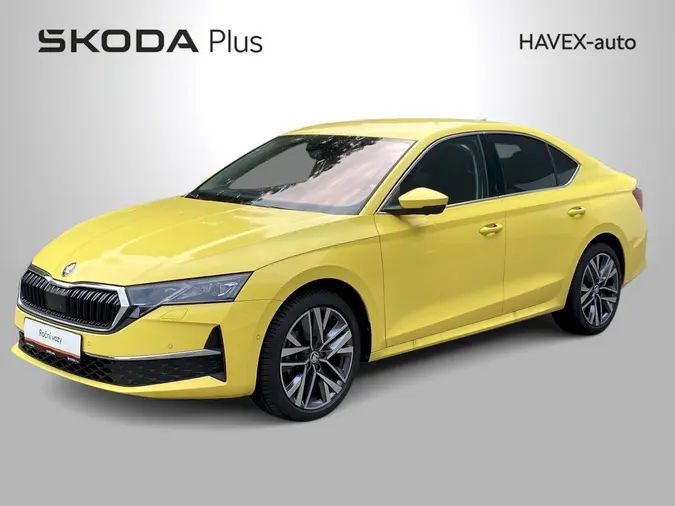 Octavia Exclusive Selection