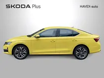 Octavia Exclusive Selection