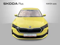 Octavia Exclusive Selection