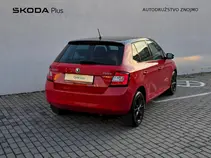 Fabia Style
