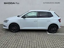 Fabia Style