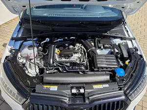 Škoda Fabia Monte Carlo
