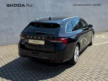 Octavia Exclusive Selection