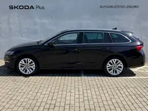 Octavia Exclusive Selection