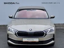 Octavia Top Selection