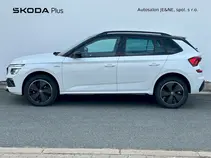 Kamiq Monte Carlo