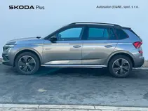 Kamiq Monte Carlo