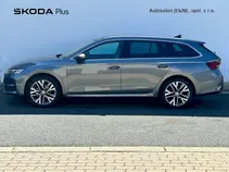 Octavia Top Selection