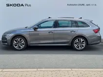 Octavia Exclusive Selection