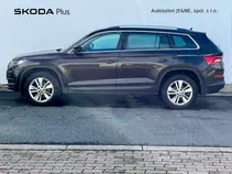 Kodiaq Style