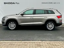 Kodiaq Style