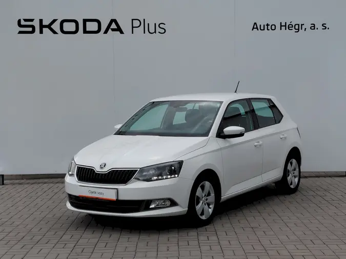 Fabia Style