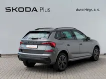 Kamiq Monte Carlo