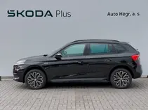 Kamiq Monte Carlo