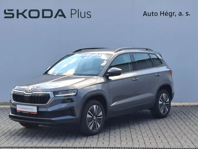 Karoq Style